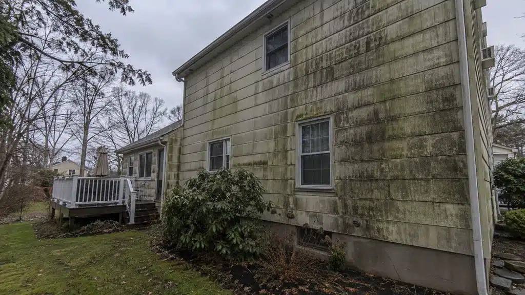 House siding with mold and algae buildup in New Jersey