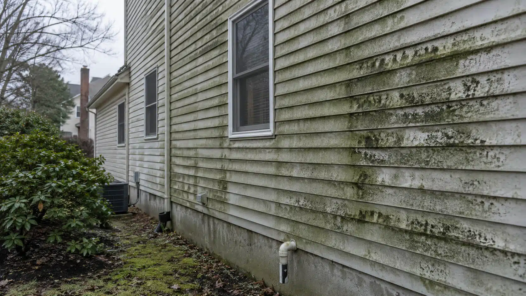 House siding with mold and algae that needs power washing